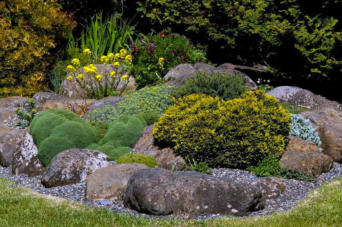 Рокарий – изюминка Вашего сада: создание, уход и преимущества